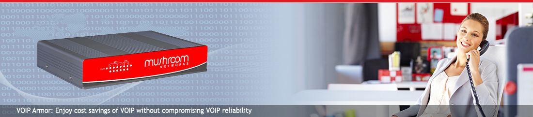 VOIP Armor: Dual WAN VOIP Gateway, Dual WAN VOIP Router, Dual WAN Router Load Balancing